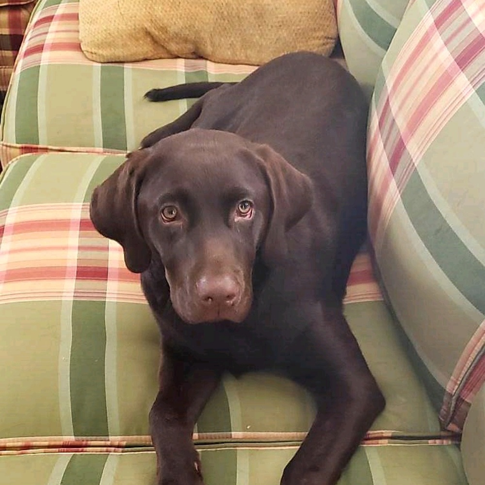 Meet your Posher, Angela